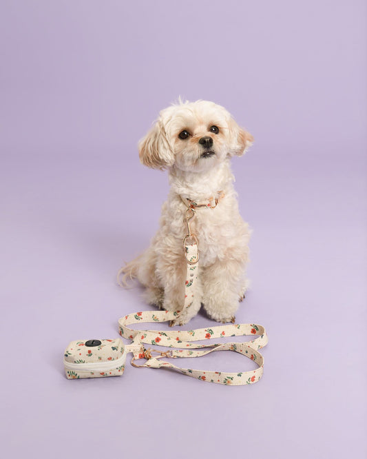 Vintage Fleur Collar Set