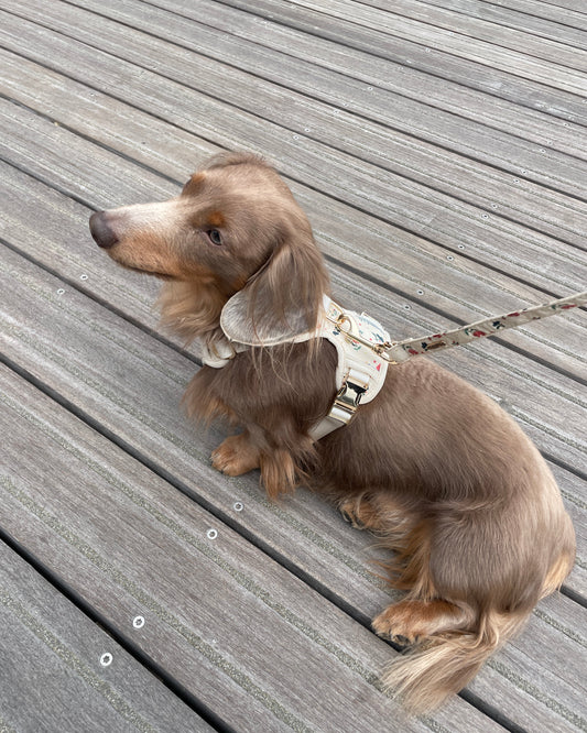 Vintage Fleur Harness Set