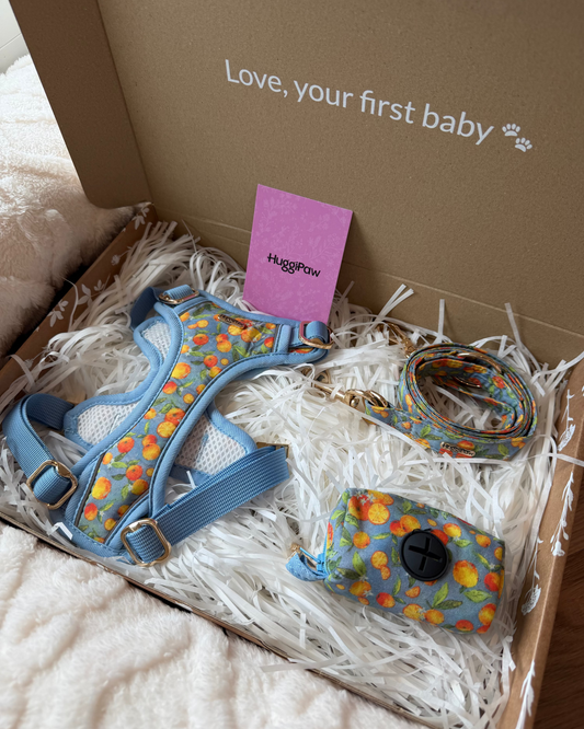 Mother's Day Special - Citrus Breeze Harness Set