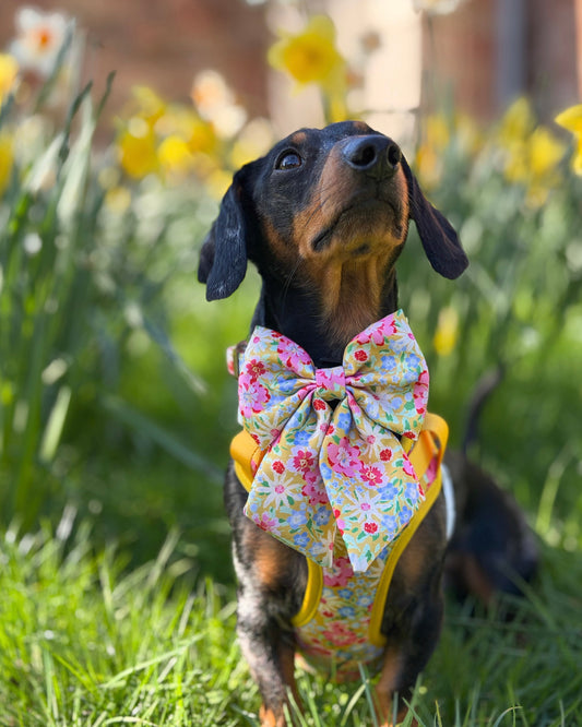Sunny Bloom Dog Sailor Bow Ties