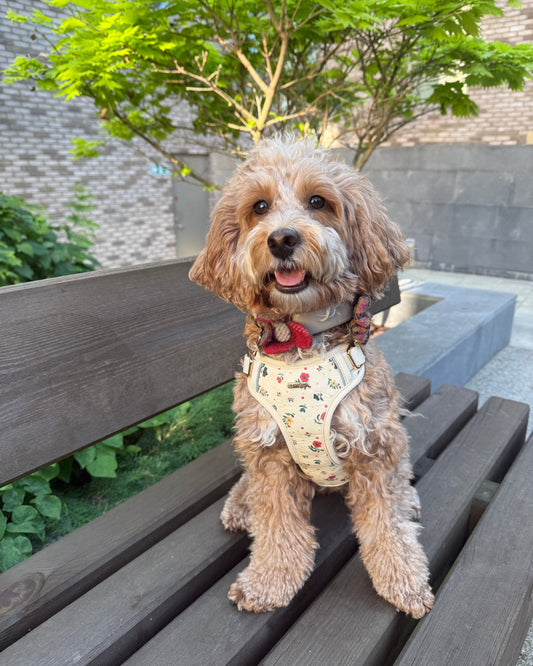 Vintage Fleur Dog Harness