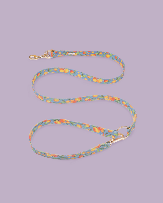 Citrus Breeze Dog Lead