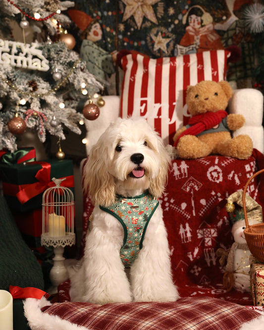 Merry Paws Dog Harness