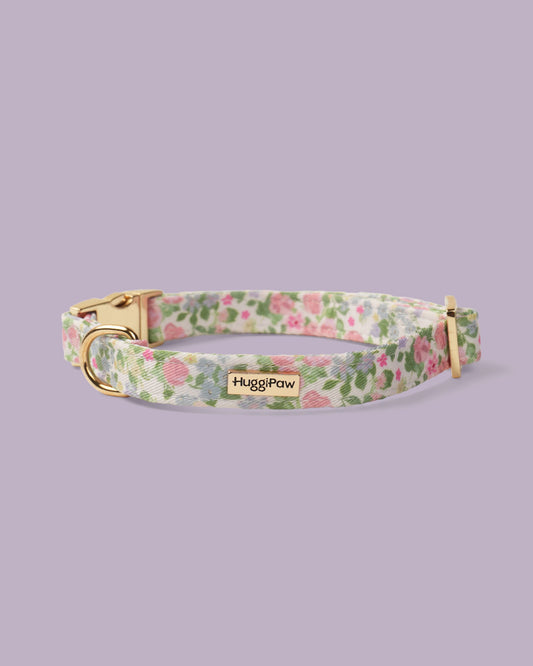 Petal Breeze Dog Collar