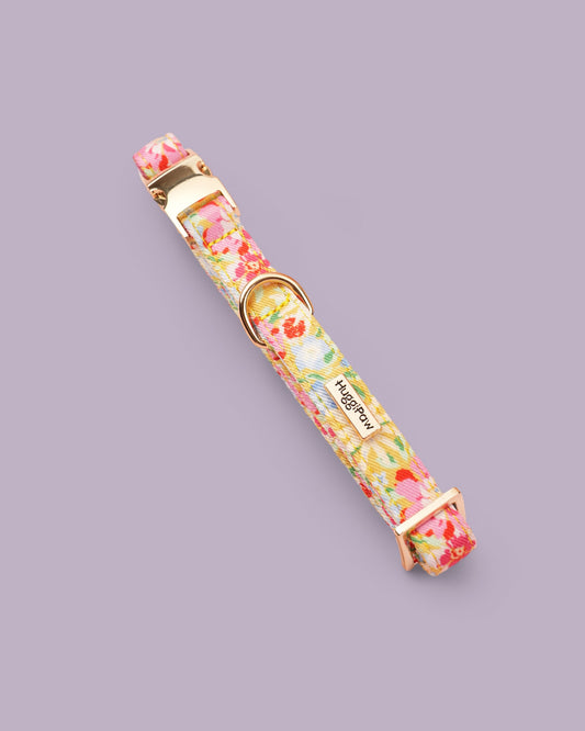 Sunny Bloom Dog Collar