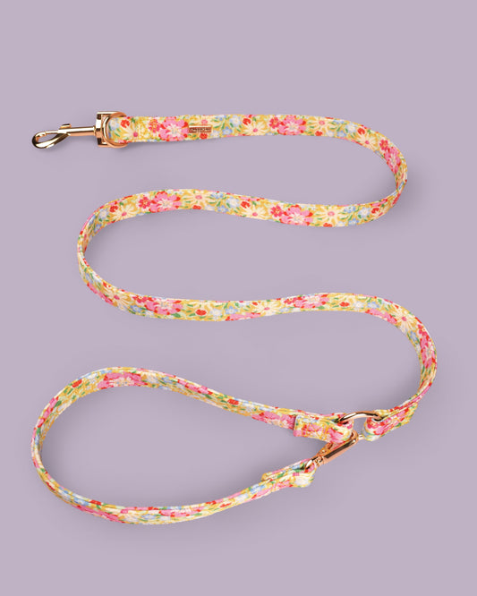 Sunny Bloom Dog Lead