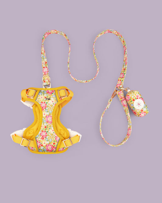 Sunny Bloom Harness Set
