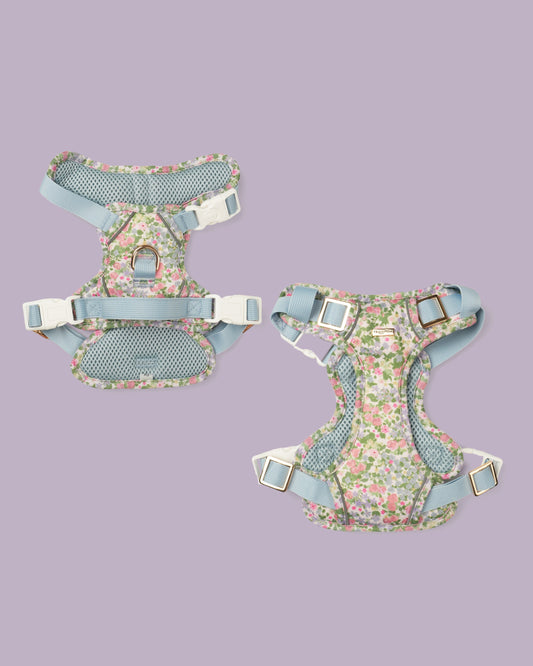 Petal Breeze Dog Harness