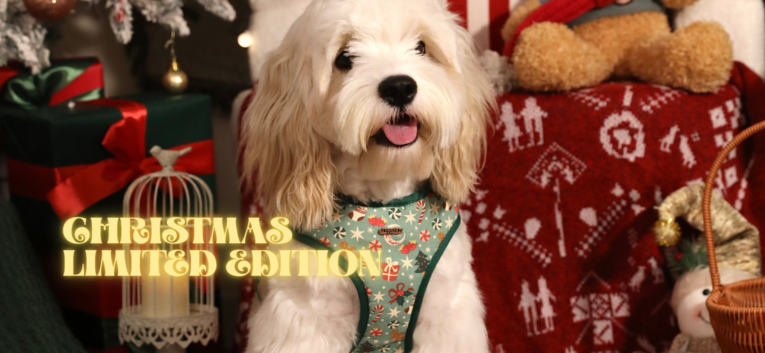 🎄 The Huggipaw Merry Paws Christmas Collection Is Here!