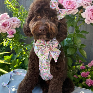 Petal Breeze Dog Harness
