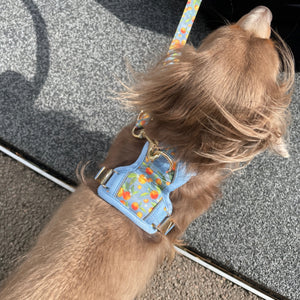Citrus Breeze Dog Harness