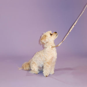 Vintage Fleur Dog Lead