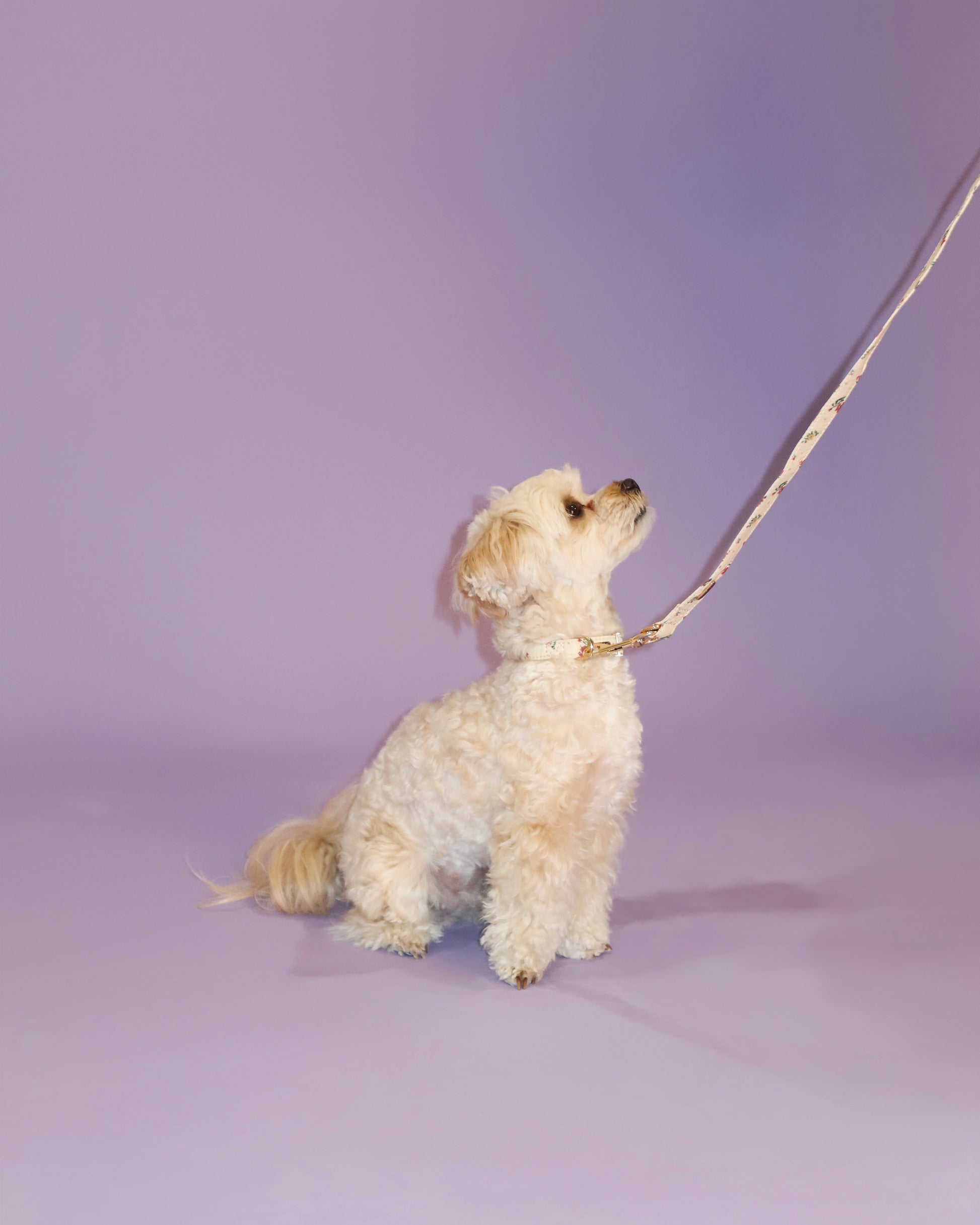 Vintage Fleur Dog Lead