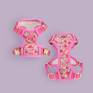 Rosy Bloom Dog Harness