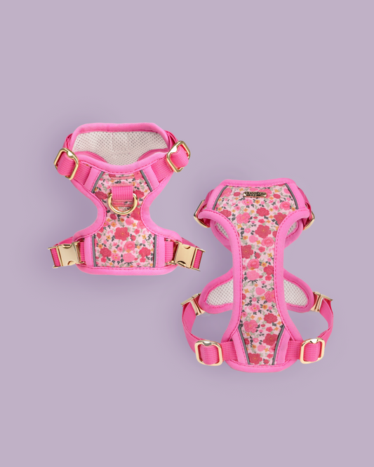 Rosy Bloom Dog Harness