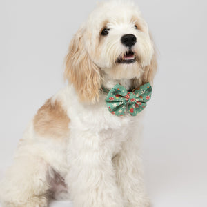 White dog with a green bow tie sitting on a light gray background