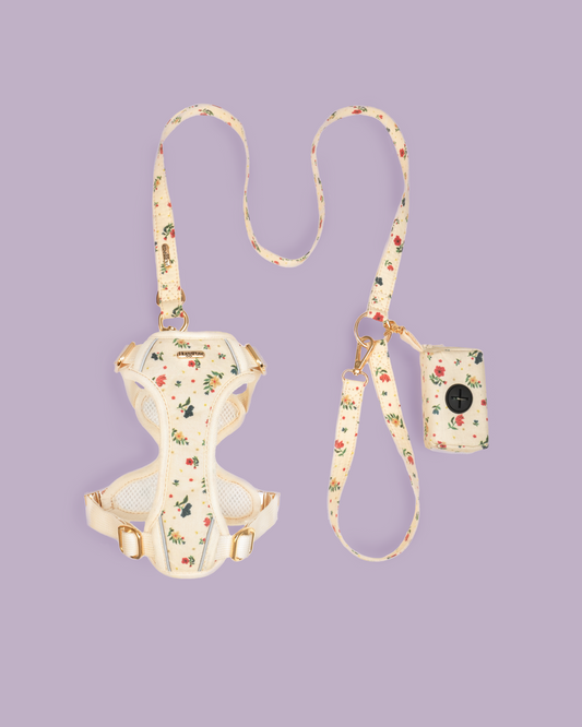 Vintage Fleur Harness Set