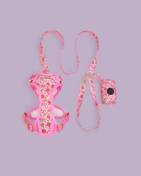 Rosy Bloom Harness Set