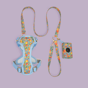 Citrus Breeze Harness Set