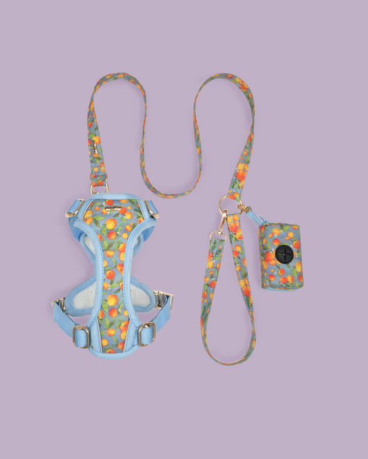 Citrus Breeze Harness Set