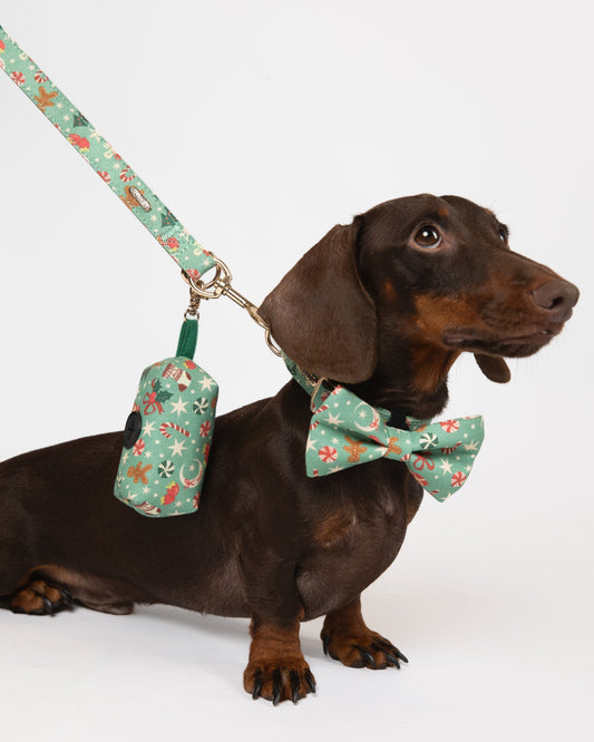 Dog wearing a floral bow tie and holding a floral-patterned leash and toy on a white background