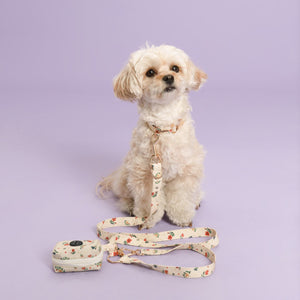 Vintage Fleur Collar Set
