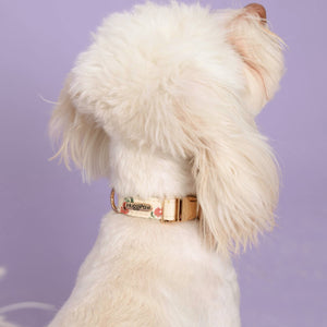 Vintage Fleur Dog Collar