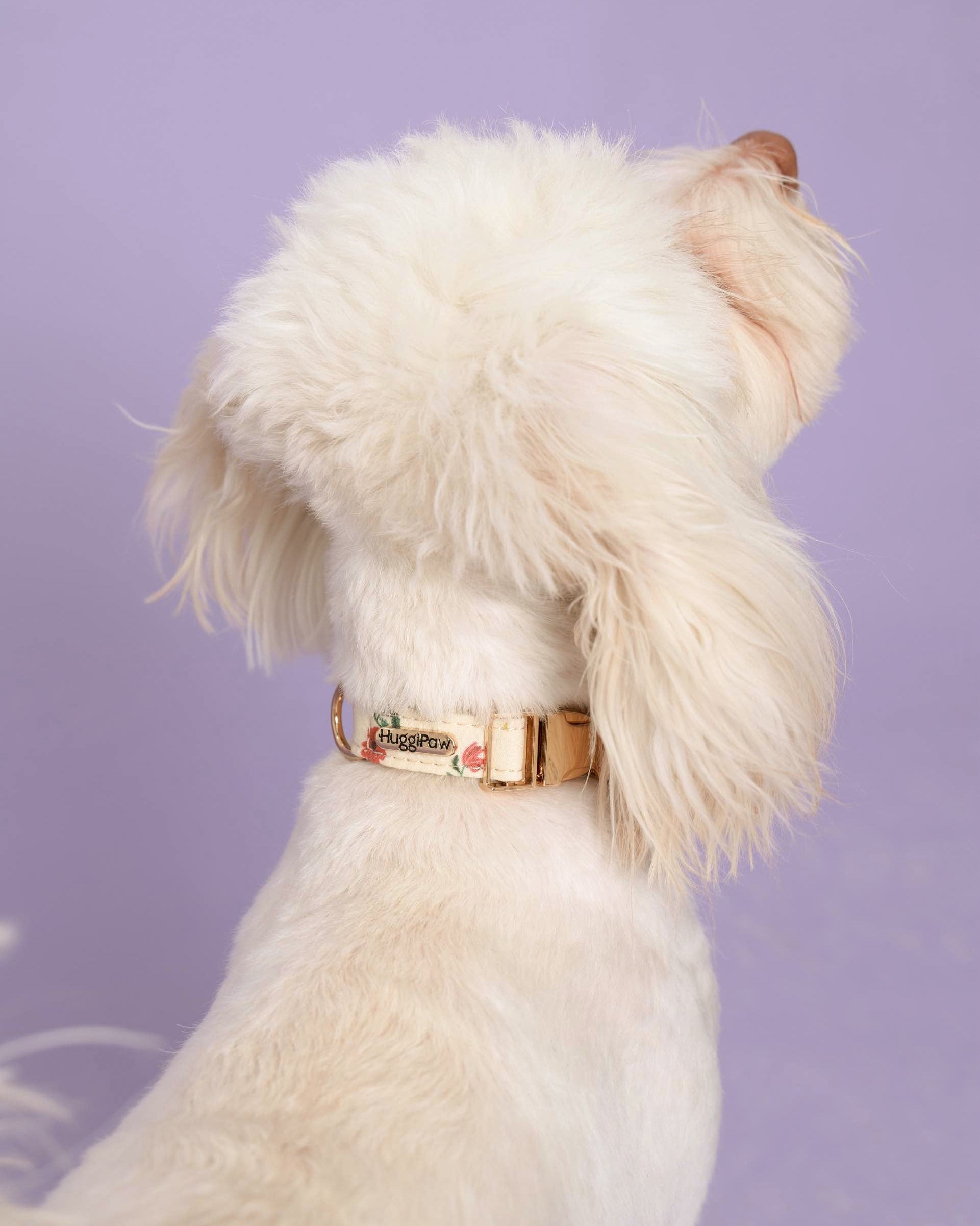 Vintage Fleur Dog Collar