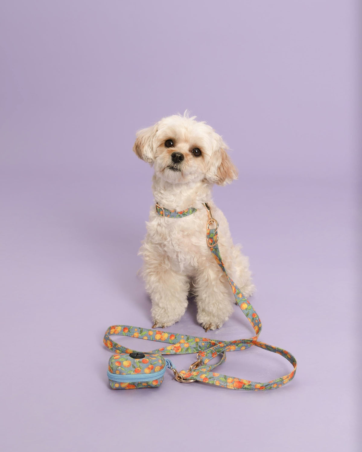 Citrus Breeze Collar Set