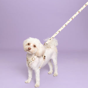 Vintage Fleur Dog Lead
