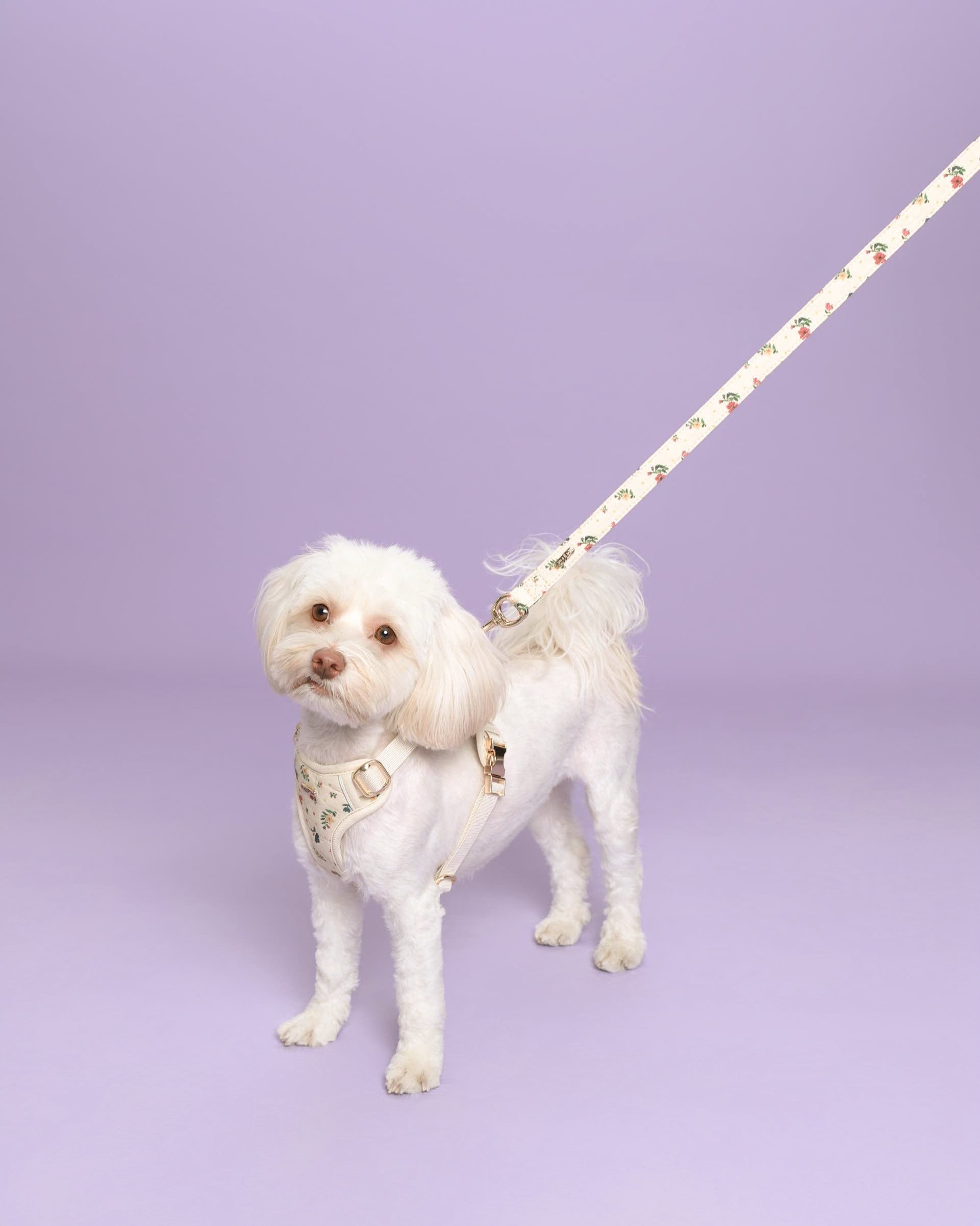 Vintage Fleur Dog Lead