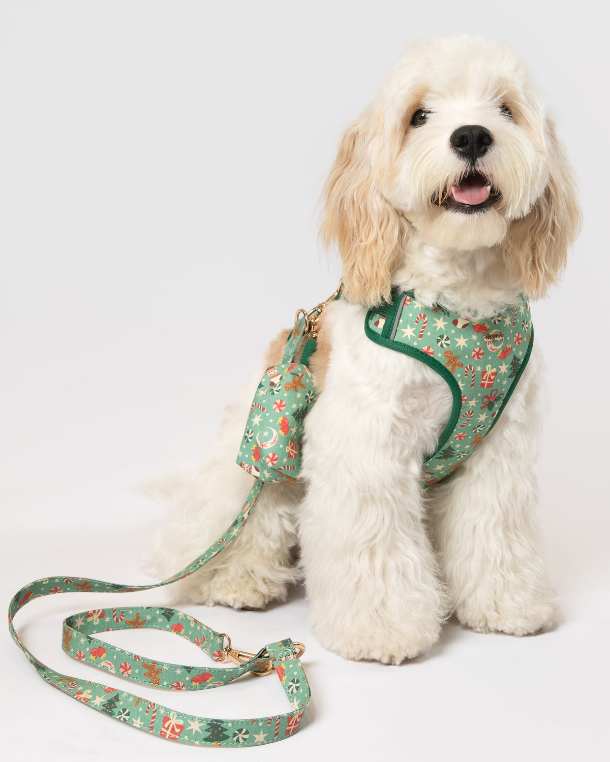 White dog wearing a green floral harness and leash on a white background