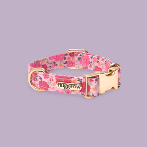 Rosy Bloom Dog Collar