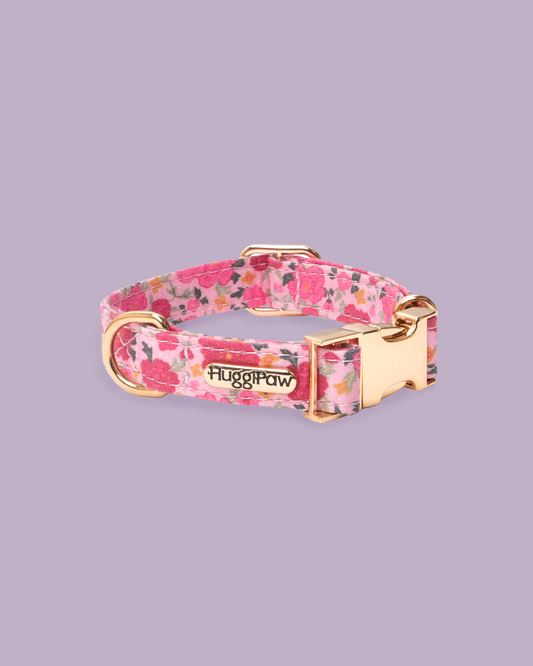 Rosy Bloom Dog Collar
