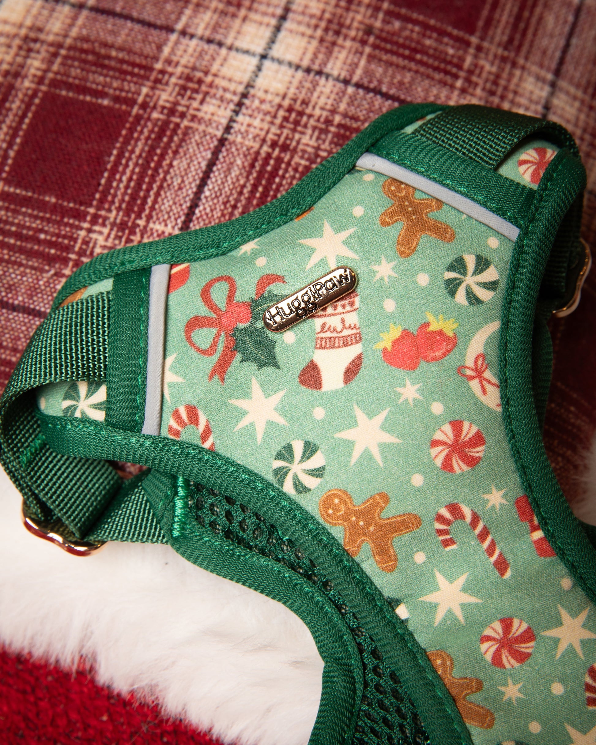 Dog harness with festive pattern on a plaid fabric background