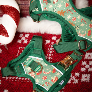 Green dog harness with festive pattern on a red and white textured background