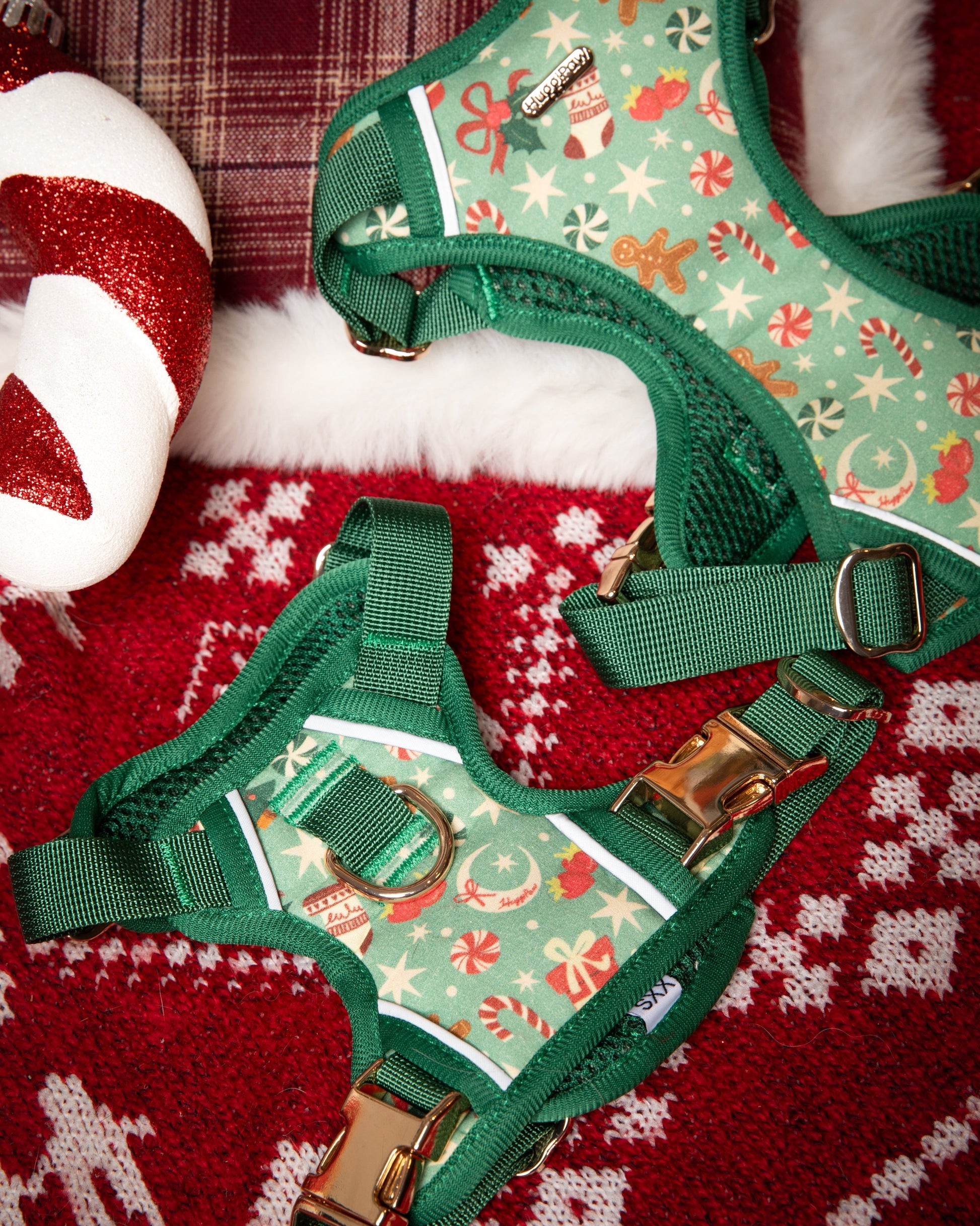 Green dog harness with festive pattern on a red and white textured background