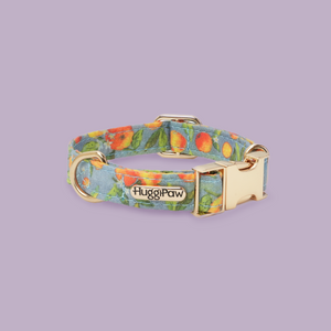 Citrus Breeze Dog Collar