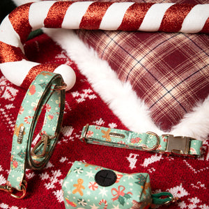 Dog collar, leash, and tag set on a festive red and white background