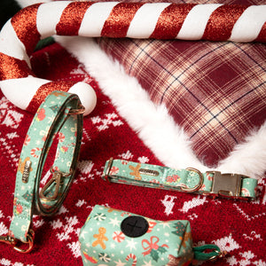 Dog collar, leash, and toy set on a festive red and white checkered fabric background.