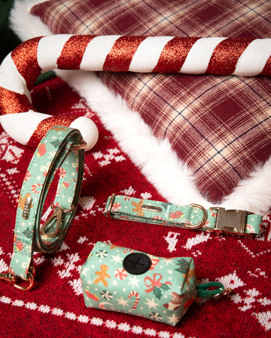 Dog collar, leash, and toy set on a festive red and white checkered fabric background.