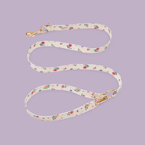 Vintage Fleur Dog Lead