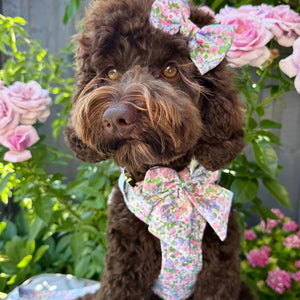 Petal Breeze Dog Bow Ties