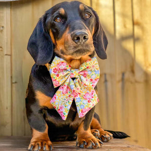 Sunny Bloom Dog Sailor Bow Ties