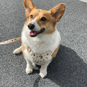 Vintage Fleur Dog Harness