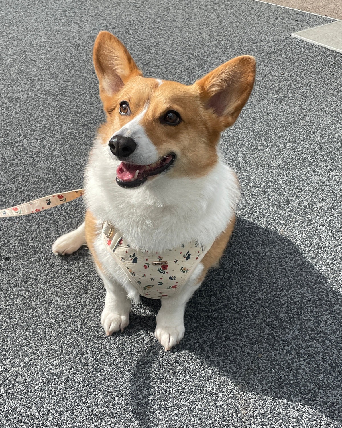 Vintage Fleur Dog Harness