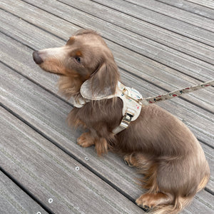 Vintage Fleur Dog Harness