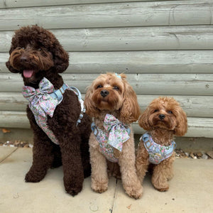 Petal Breeze Dog Harness