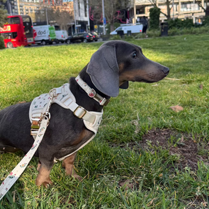 Vintage Fleur Dog Harness
