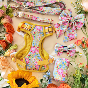 Sunny Bloom Dog Harness
